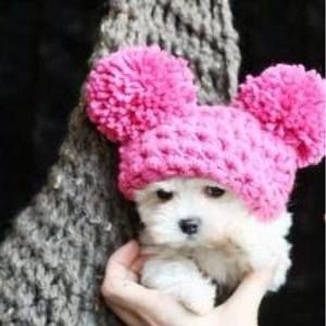 Meet your Posher, Renee